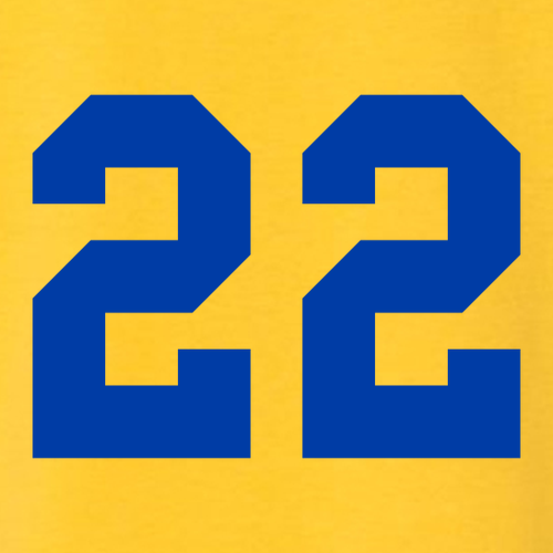 Gildan Heavy Cotton Basic Youth T-Shirt -- Daisy