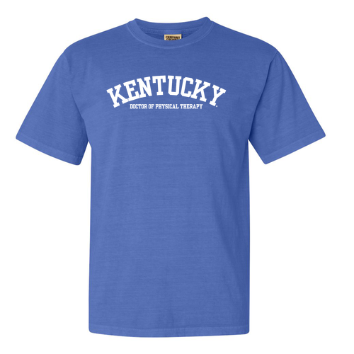 Comfort Colors Ringspun Garment Dyed T Shirt -- Flo Blue
