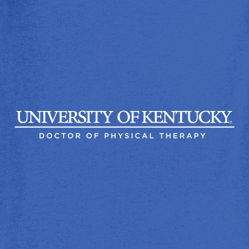 Heavy Cotton Basic T-Shirt -- Royal