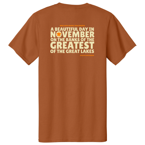 Port and Company Basic T-Shirt -- Texas Orange
