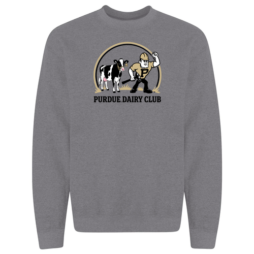 Gildan Heavy Blend Crew Neck Sweatshirt -- Graphite Heather