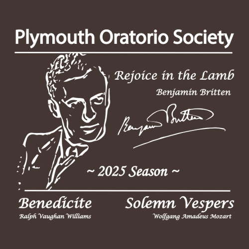 Gildan Ultra Cotton Basic T-Shirt -- Dark Chocolate