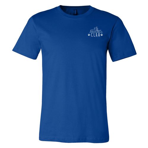 Bella Canvas Unisex Jersey T-Shirt -- True Royal