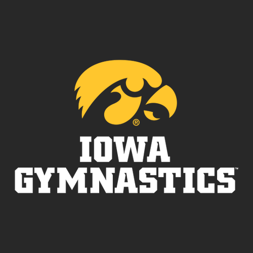 Gildan Heavy Blend Hooded Sweatshirt -- Black