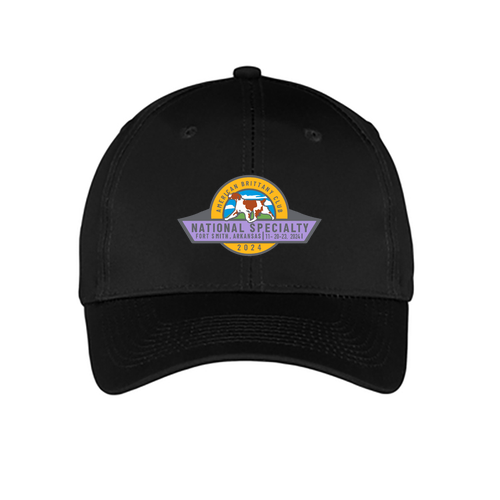 Port and Company 6-panel Twill Hat -- Black