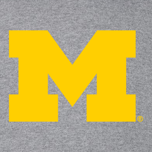 Mens/Unisex Gildan Heavy Blend Hooded Sweatshirt -- Graphite Heather