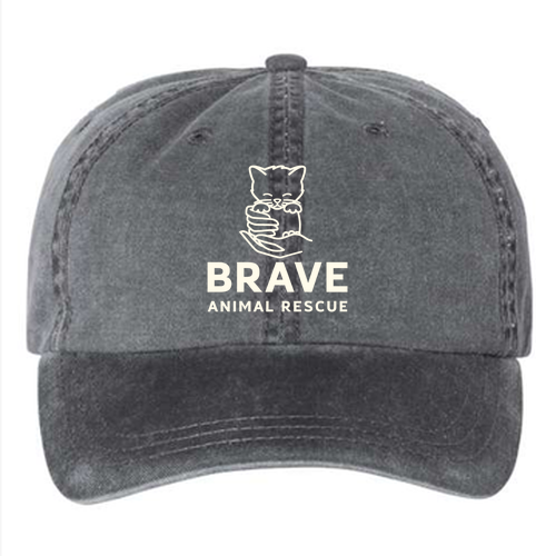 Embroidered Brave Dad Cap -- Black