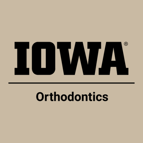 Gildan Heavy Blend Hooded Sweatshirt -- Sand