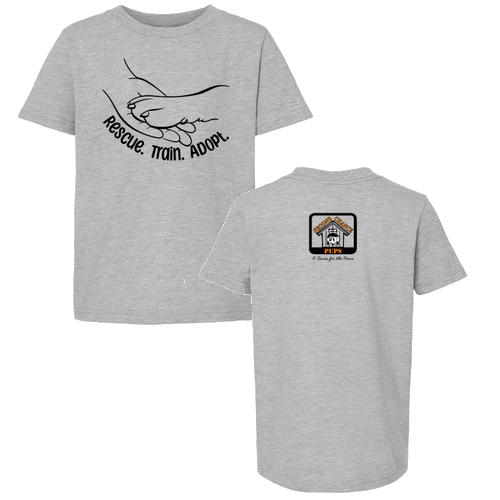 Tultex Youth Fine Jersey T-Shirt -- Heather Grey
