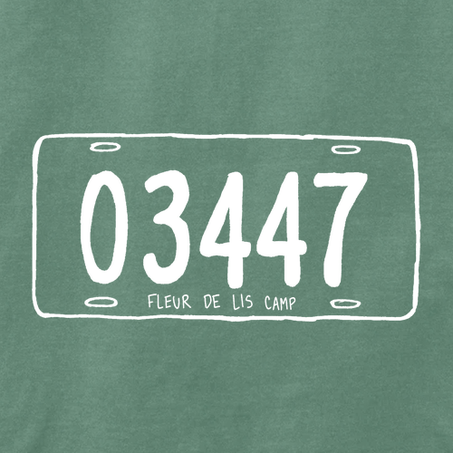 Comfort Colors Heavyweight Adult T-Shirt -- Light Green