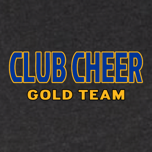 Gold Team Bella+Canvas Unisex Heather Cvc Long Sleeve Tee- Heathers -- Black Heather