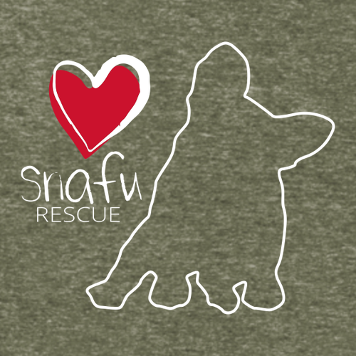 District Womens Perfect Tri Tee -- Military Green Frost