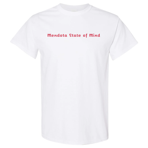 Gildan Heavy Cotton Basic T-Shirt -- White