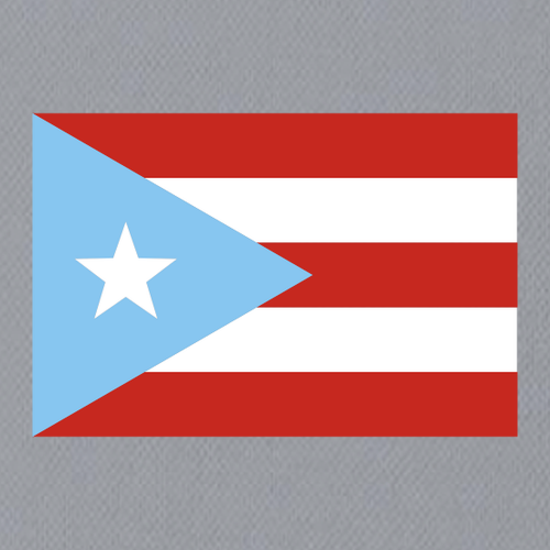 PUERTO RICO Performance Tee -- WOMEN'S Silver