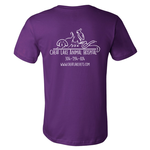 Bella Canvas Unisex Jersey T-Shirt -- Team Purple