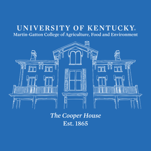 Gildan Heavy Cotton Longsleeve Basic T-Shirt -- Royal