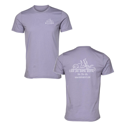 Bella Canvas Unisex Jersey T-Shirt -- Dark Lavender