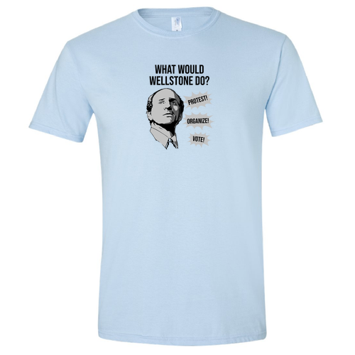 Gildan SoftStyle T-Shirt -- Light Blue