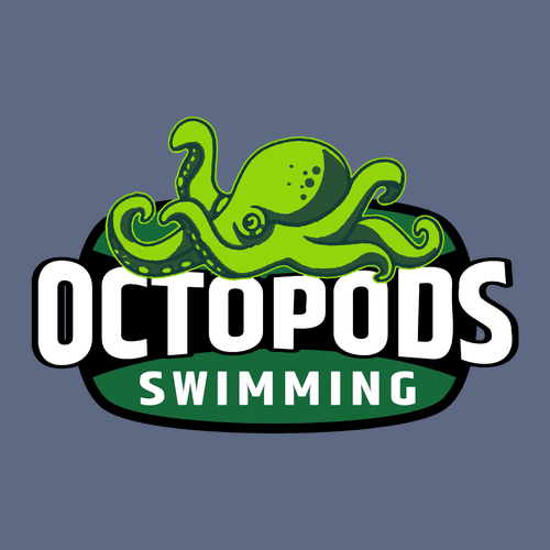 Hanes 7.8 Oz., 50/50 Comfort Blend Fleece Pullover Hood Adult -- Denim