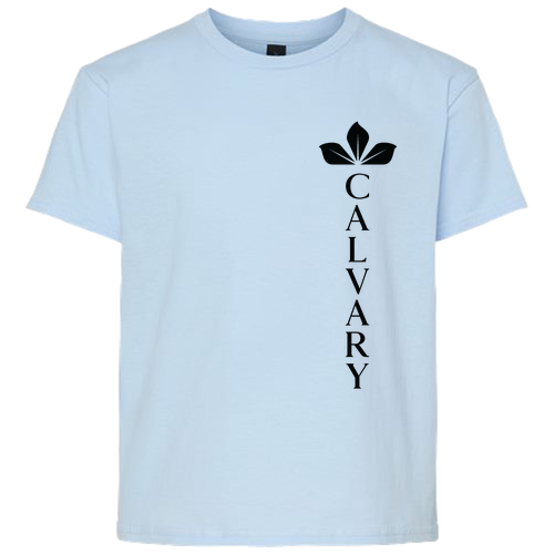 Gildan Youth Softstyle T-Shirt -- Light Blue