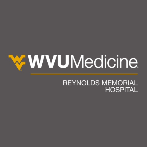 Gildan Heavy Cotton Longsleeve Basic T-Shirt -- Charcoal