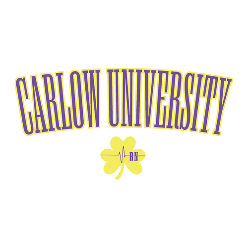 Carlow Basic T-Shirt -- White