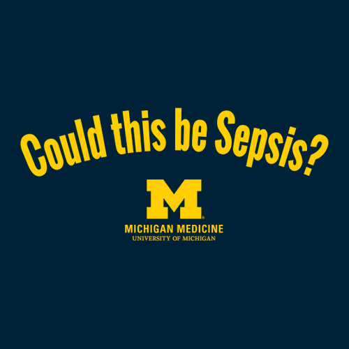Gildan Softstyle Fitted Longsleeve T Shirt -- Navy, Could This Be Sepsis?