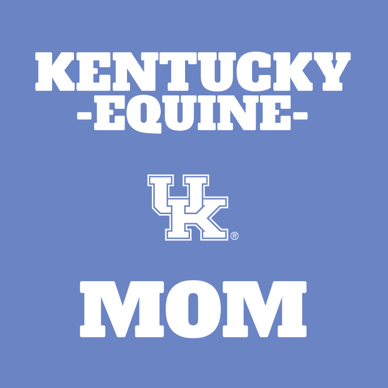 Comfort Colors Unisex Garment-Dyed Heavyweight T-Shirt -- (For Mom, Dad, & Alumni) -- Blue Jean