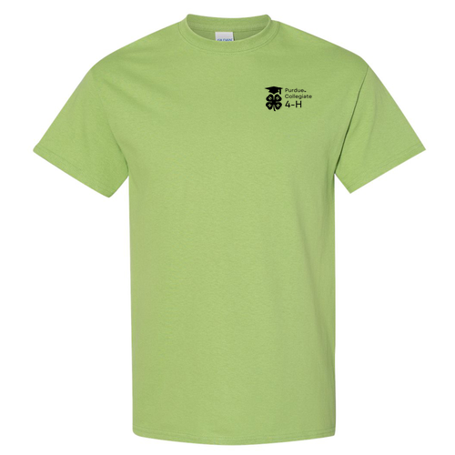 Gildan Heavy Cotton Basic T-Shirt -- Kiwi