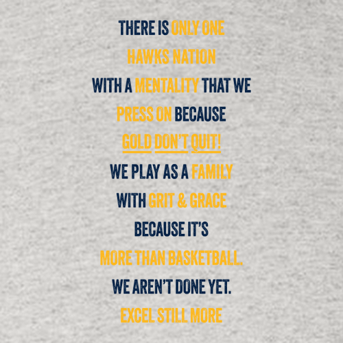 Gildan Adult Dryblend Adult Hooded Sweatshirt -- Ash