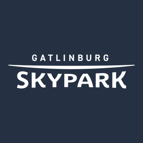 Gatlinburg Skypark Logo 2 White Ink -- Pullover Hooded Sweatshirt Navy