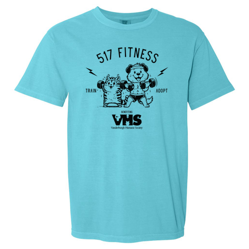 Comfort Colors Heavyweight Adult T-Shirt -- Lagoon