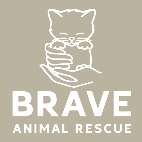Brave Heavyweight Tee -- Sandstone