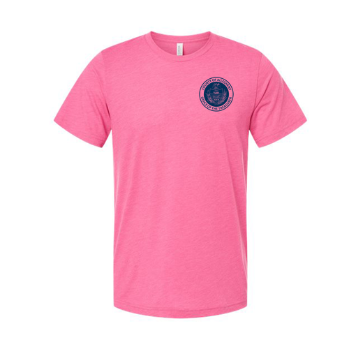 Bella Canvas Triblend Short Sleeve T-Shirt -- Charity Pink Triblend