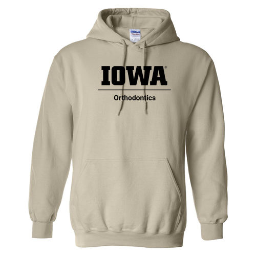 Gildan Heavy Blend Hooded Sweatshirt -- Sand