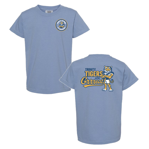 Youth Comfort Colors Ring Spun Cotton Tee -- Washed Denim