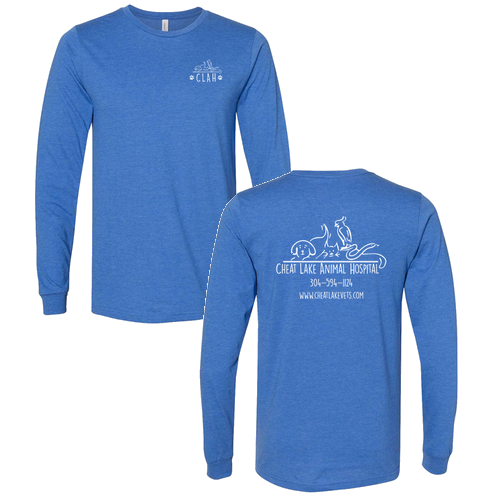 Bella+Canvas Unisex Heather Cvc Long Sleeve Tee- Heathers -- Heather True Roy