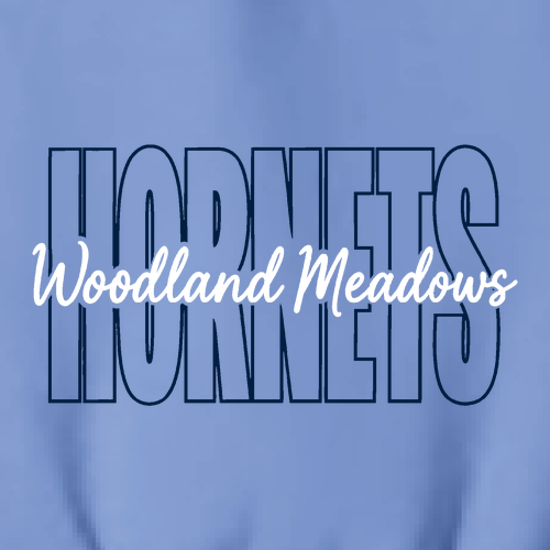 Youth Gildan Heavy Cotton Basic T-Shirt -- Carolina Blue