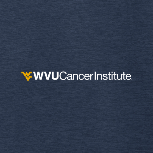 Port Authority Ladies Core Soft Shell Jacket -- Dress Blue Navy