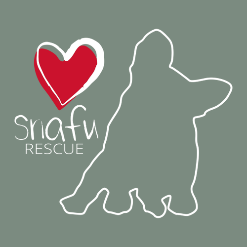 District Perfect Weight Fleece Hoodie -- Laurel Green