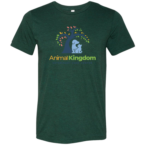 Bella Canvas Triblend Short Sleeve T-Shirt -- Emerald TriBlend