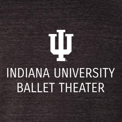 IUBT- Bella Canvas Long Sleeve Hooded T-Shirt- Charcoal Black