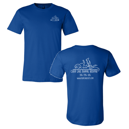 Bella Canvas Unisex Jersey T-Shirt -- True Royal