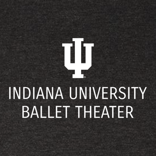 IUBT- Men's TriBlend Long Sleeve Crew -- Vintage Black