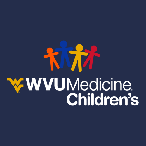 Gildan Heavy Cotton Longsleeve Basic T-Shirt -- Navy