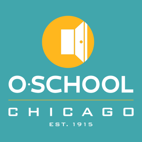 O-School  Adult Pullover Hood -- Teal