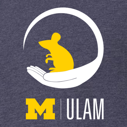 Mens/Unisex ULAM Mouse Bella Canvas Heather Long Sleeve Tee- Heathers -- Heather Midnight Navy