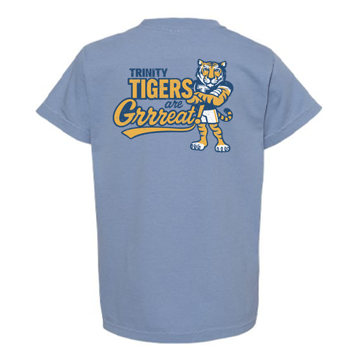 Youth Comfort Colors Ring Spun Cotton Tee -- Washed Denim