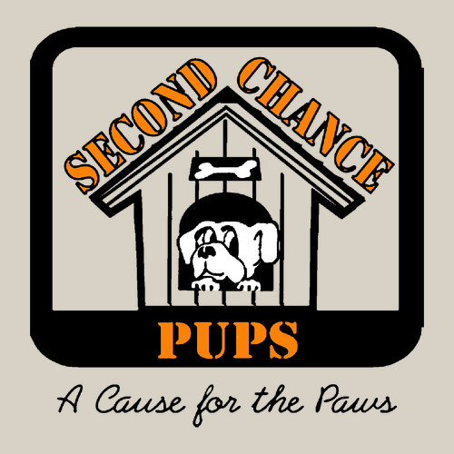 Hanes Perfect-T Ring Spun T-Shirt -- Parchment