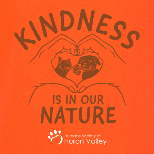 Gildan Ultra Cotton Longsleeve Basic T-Shirt -- Orange